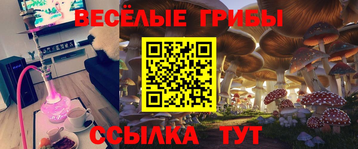 Псилоцибиновые грибы мухоморы Братск