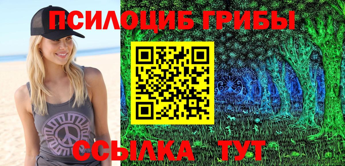 Братск  Галлюциногенные грибы Psilocybe  Вход с VPN  Галлюциногенные грибы MAGIC MUSHROOMS 
